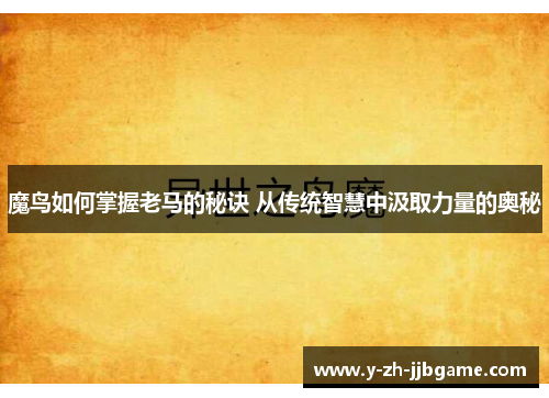 魔鸟如何掌握老马的秘诀 从传统智慧中汲取力量的奥秘